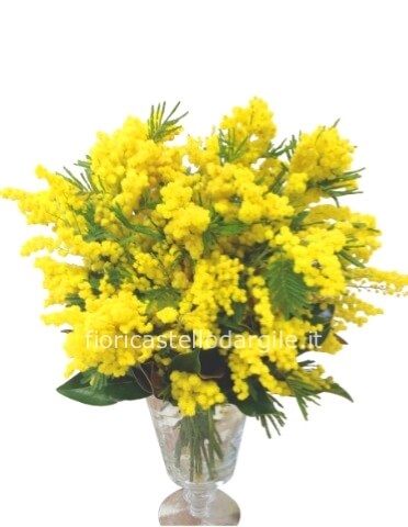 Bouquet di mimosa