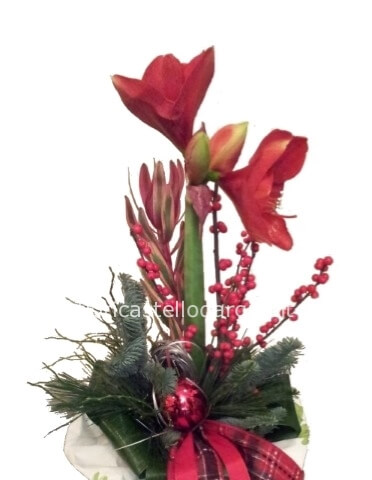 Mazzo di fiori natalizio